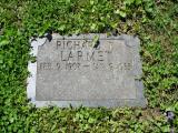 image of grave number 470107